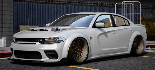 2020 Dodge Charger Turbo Lolcat