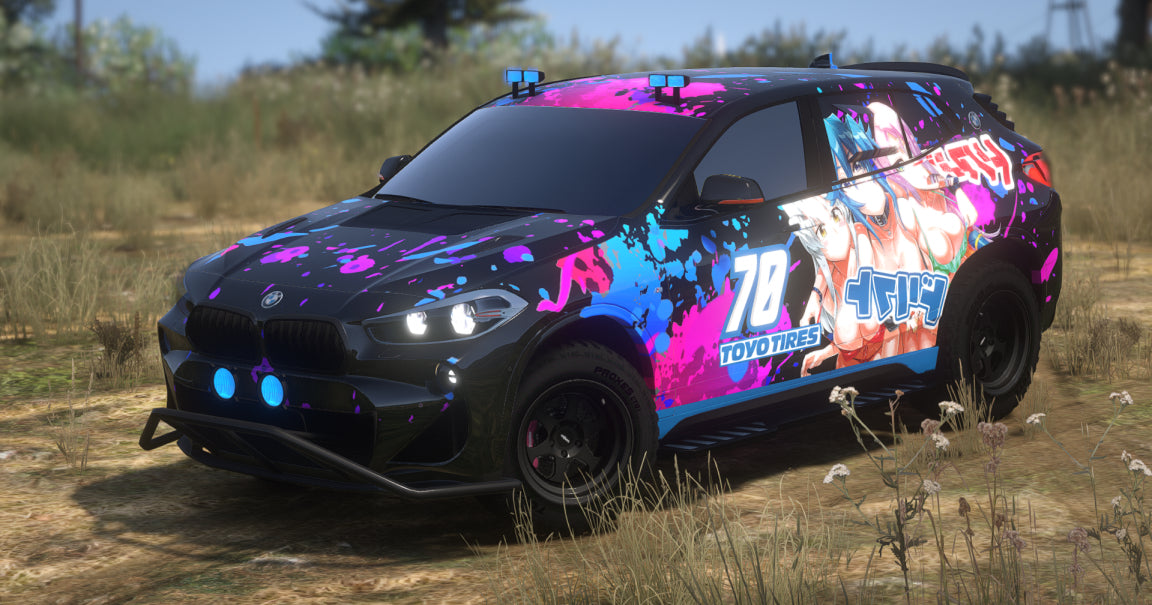 BMW X2 4x4 (3 Liveries)