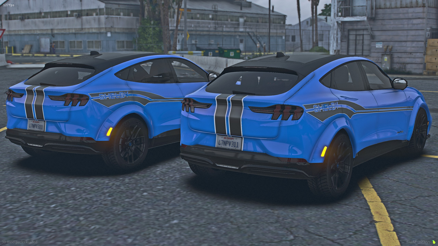 Shelby Mach-E WB
