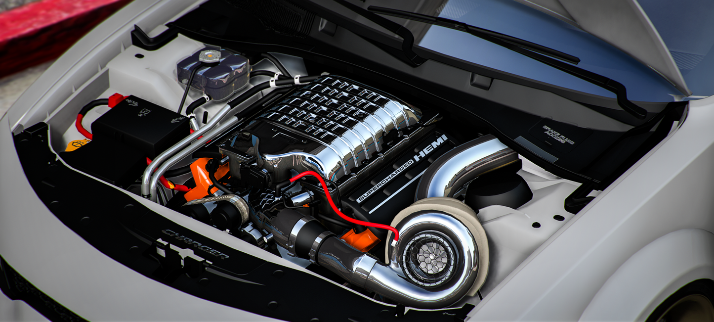 2020 Dodge Charger Turbo Lolcat
