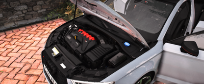 Audi RS3 8V Saloon (Animated Sunroof)