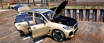 BMW X5 G05 2021