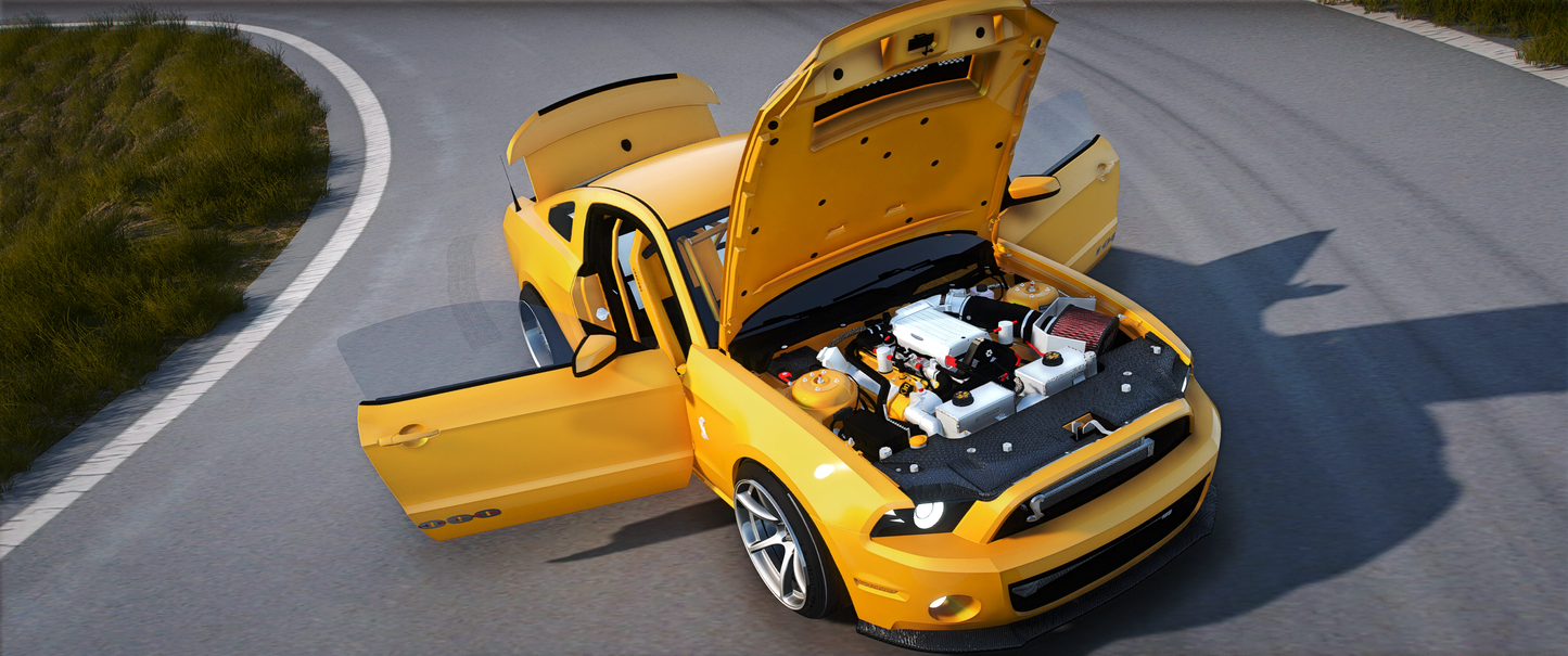 Shelby GT1000