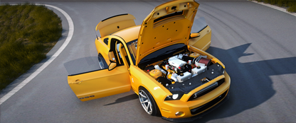 Shelby GT1000